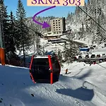 Srna 303 *