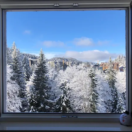 公寓 Srna 303 亚霍里纳