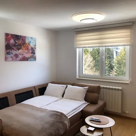 Srna 303 公寓 亚霍里纳