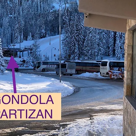 Srna 303 * Τζαχορίνα