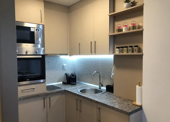 Srna 303 * 亚霍里纳