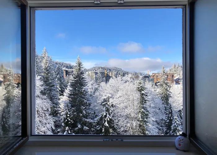 公寓 Srna 303 亚霍里纳