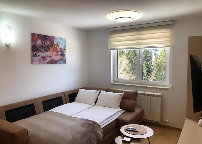 Srna 303 公寓 亚霍里纳