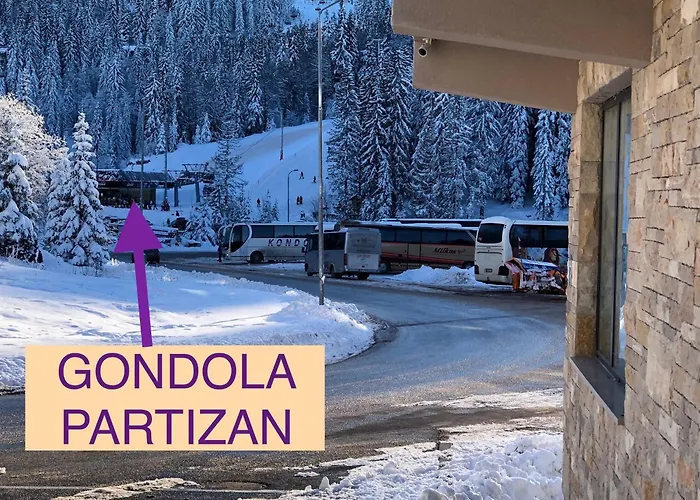 Srna 303 * 亚霍里纳